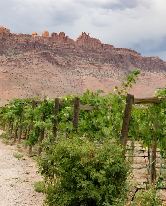 Castle Creek Winery
